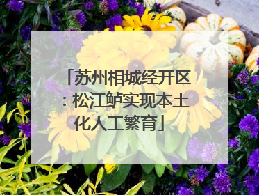 苏州相城经开区：松江鲈实现本土化人工繁育